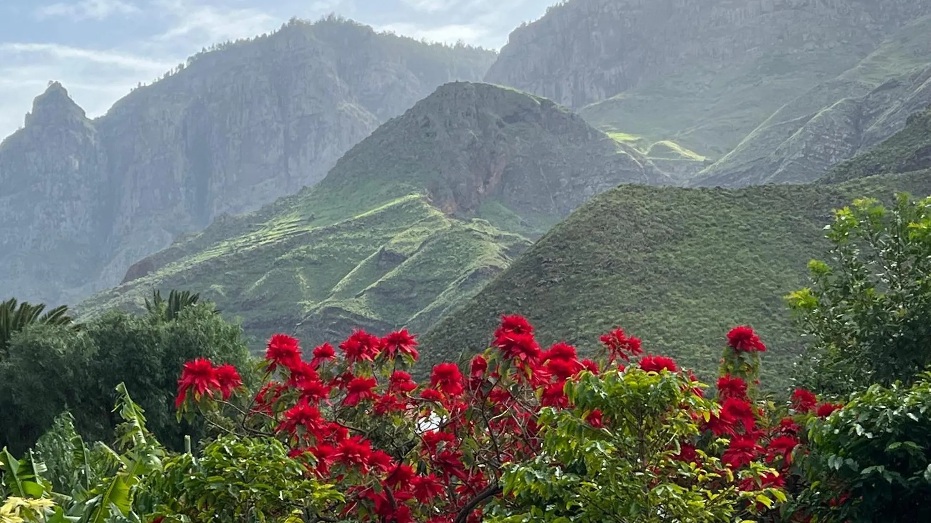 Finca Exclusiv La Mareta Agaete  Gospodarstwo wiejskie Agaete (Gran Canaria)